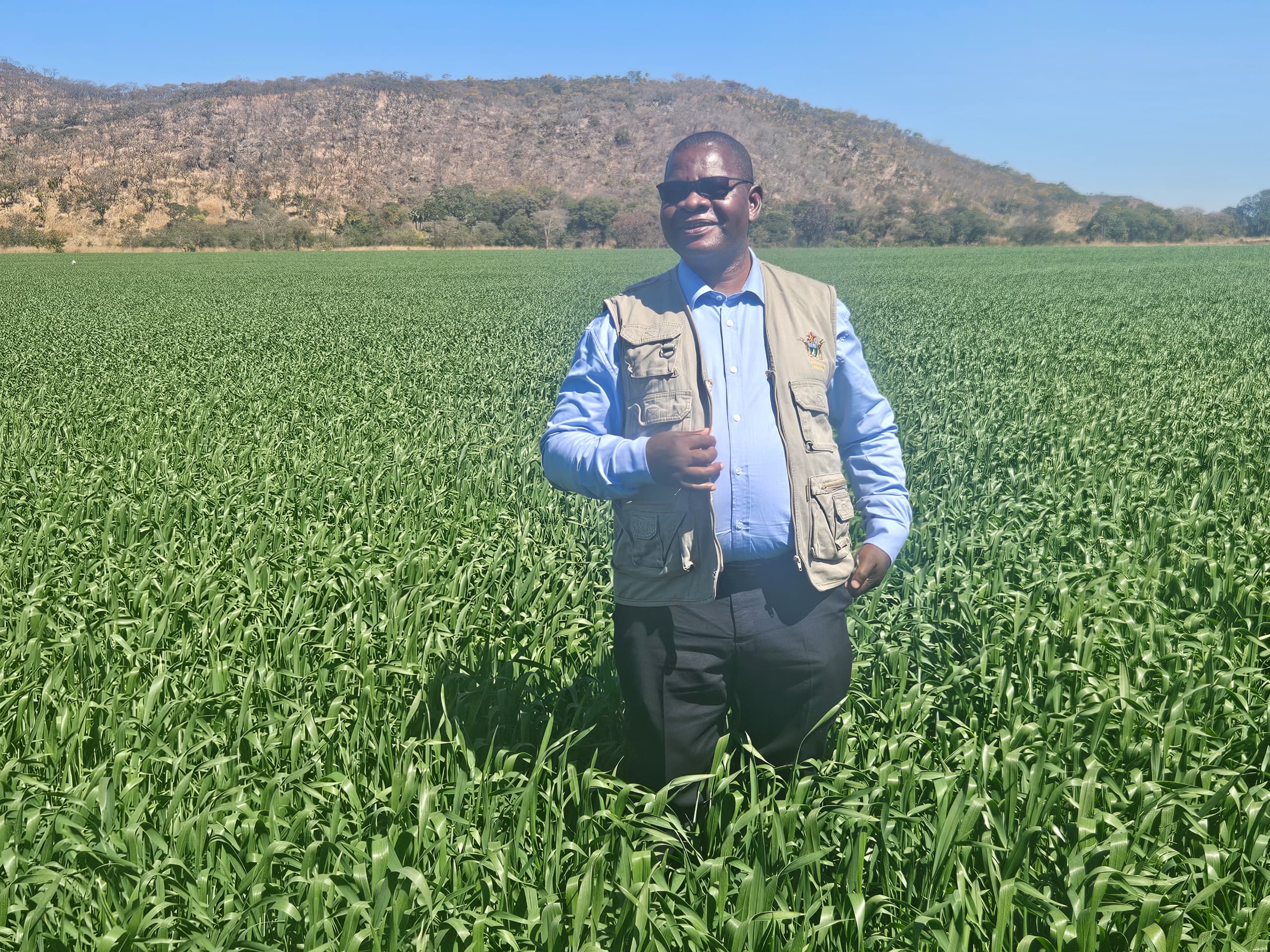 Govt pushes digital tools to attract youth into farming